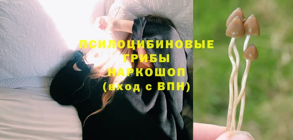 трава Майский